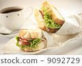 Vegetable sandwich 9092729