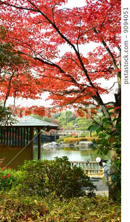 一個池塘在秋天和Futami Shika的天鵝庭院裡 一個池塘在秋天和Futami Shika的天鵝庭院裡 9094051