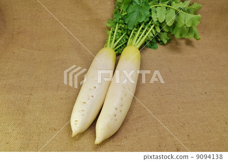 Winter vegetables - 2 leaves with leaves - Azabu bag sideways position Winter vegetables - 2 leaves with leaves - Azabu bag sideways position 9094138