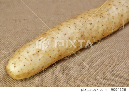 骯髒的蔬菜·干山藥待乾Yago對角向上·Azabu背側身位置 骯髒的蔬菜·干山藥待乾Yago對角向上·Azabu背側身位置 9094156