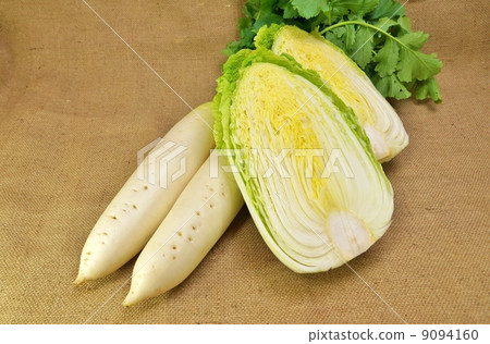 冬季蔬菜·2片蘿蔔和切白菜·亞麻袋側身位置 9094160