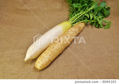 Winter vegetables · leaves with radish and yam pot · linen bag sideways position Winter vegetables · leaves with radish and yam pot · linen bag sideways position 9094165