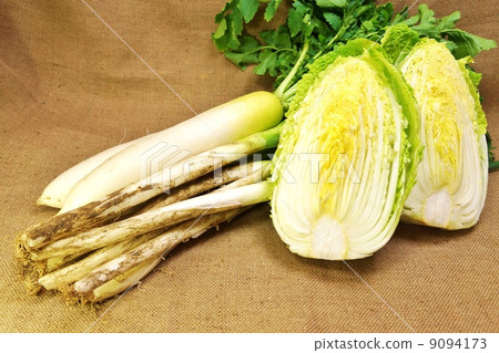 冬季蔬菜·2片蘿蔔。切大白菜（前景）。長洋蔥·亞麻袋背面 9094173