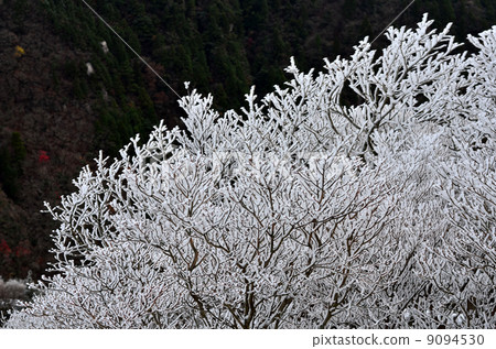A tree A tree 9094530