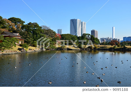 Hama Rikyu Imperial Gardens Pines Matsaya（2013.12） 9095188