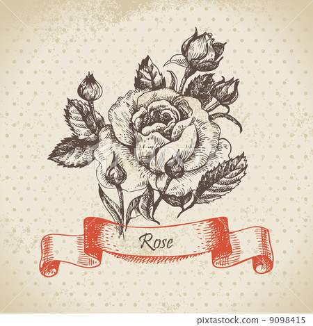 Rose. Hand drawn vintage design - Stock Illustration [9098415] - PIXTA