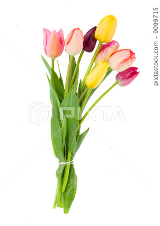 Posy of tulips flowers Posy of tulips flowers 9099715