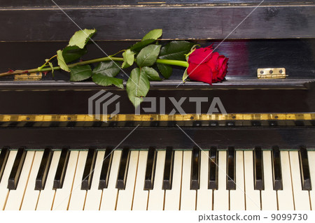 one red rose on piano one red rose on piano 9099730