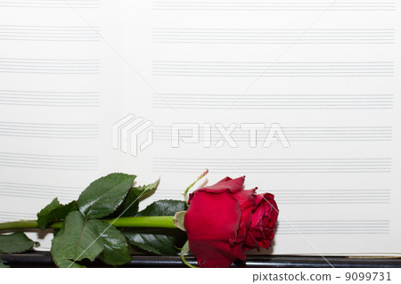 old note paper with red rose old note paper with red rose 9099731