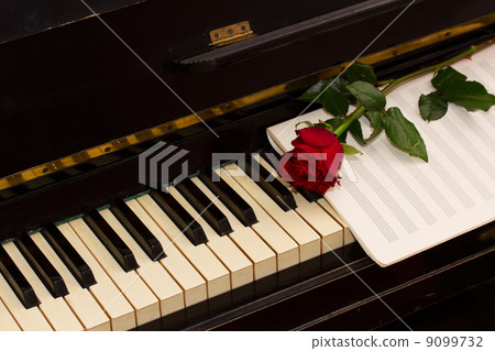 one red rose with notes paper on piano one red rose with notes paper on piano 9099732