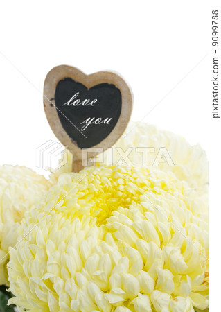 bouquet of white mums 9099788