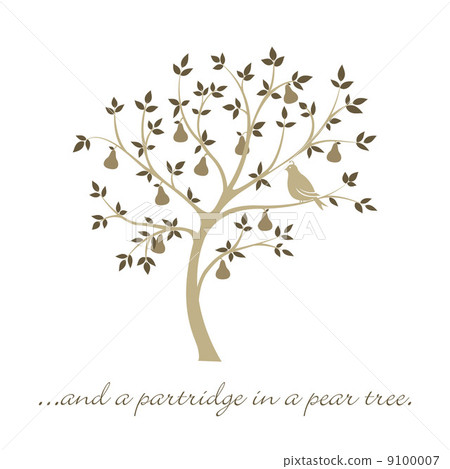 "...and a partridge in a pear tree" Christmas card in vector for "...and a partridge in a pear tree" Christmas card in vector for 9100007