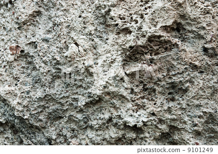 Old wall texture 9101249