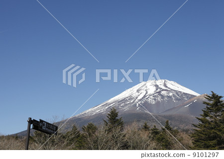 Mt. Fuji from Wednesday Park Mt. Fuji from Wednesday Park 9101297