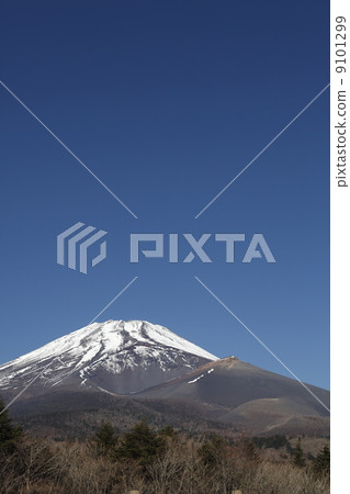 富士山從周三公園 富士山從周三公園 9101299
