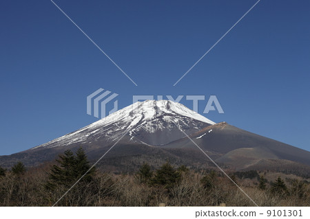 Mt. Fuji from Wednesday Park 9101301