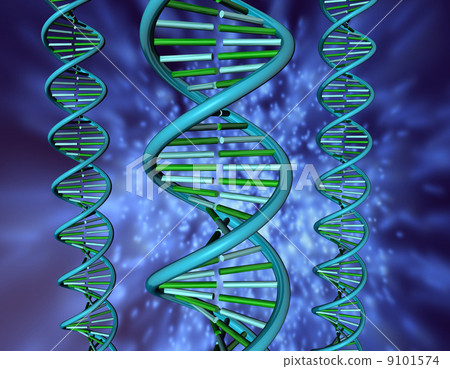 DNA 9101574