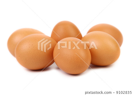 Many brown eggs Many brown eggs 9102835