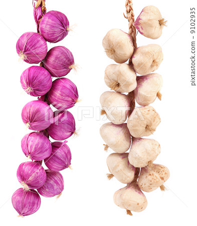 Bunch of red and white onion. Bunch of red and white onion. 9102935