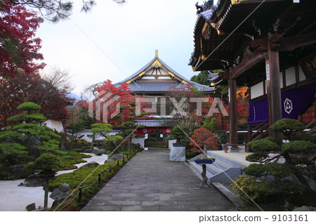 秋葉16 秋葉16 9103161