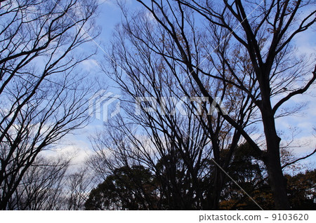 根岸森林公園 9103620