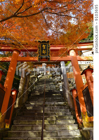 Taro Boy Palace in autumn Taro Boy Palace in autumn 9103695