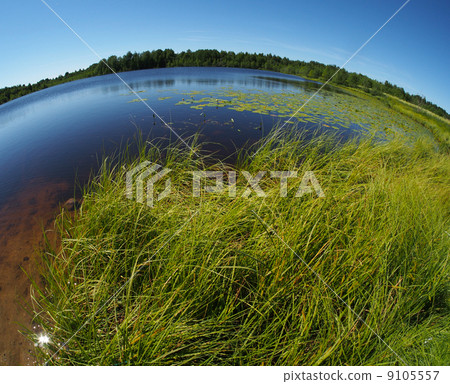 Lake in the summer Lake in the summer 9105557