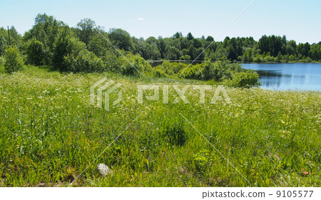 Lake in the summer Lake in the summer 9105577