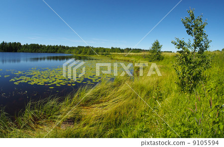 Lake in the summer Lake in the summer 9105594