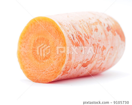 carrot on a white background 9105730