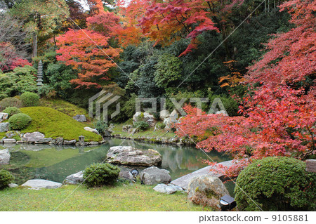 Kyoto Aozuin-in Temple gate garden Kyoto Aozuin-in Temple gate garden 9105881