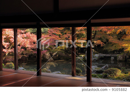 京都Rengei-ji寺花園 京都Rengei-ji寺花園 9105882