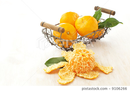 Mandarin orange Mandarin orange 9106266