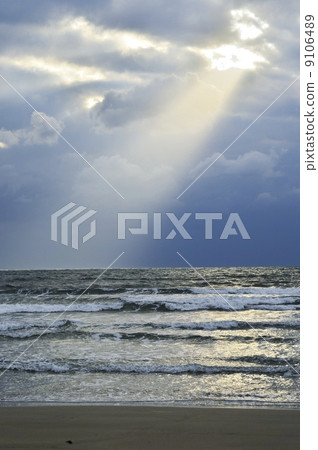 暮光之城海 暮光之城海 9106489