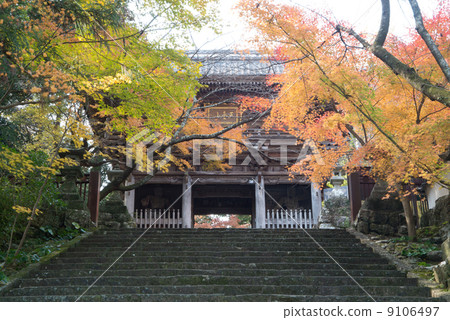 深秋五彩山竹寺四國神社工廠第88位第31個佛教寺廟 深秋五彩山竹寺四國神社工廠第88位第31個佛教寺廟 9106497