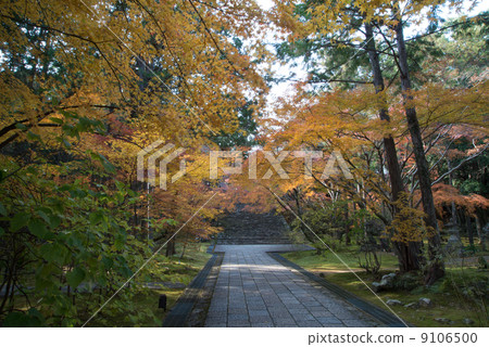 深秋五彩山竹寺四國神社工廠第88位第31個佛教寺廟 深秋五彩山竹寺四國神社工廠第88位第31個佛教寺廟 9106500