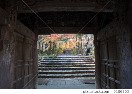 Late autumn Goto mountain bamboo temple Shikoku Shrine Plant 88th place Thirty-first Buddhist temple Late autumn Goto mountain bamboo temple Shikoku Shrine Plant 88th place Thirty-first Buddhist temple 9106503