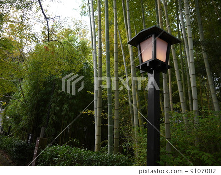 Small diameter of bamboo grove 9107002
