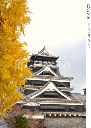 Kumamoto castle castle tower after the rain 9107075