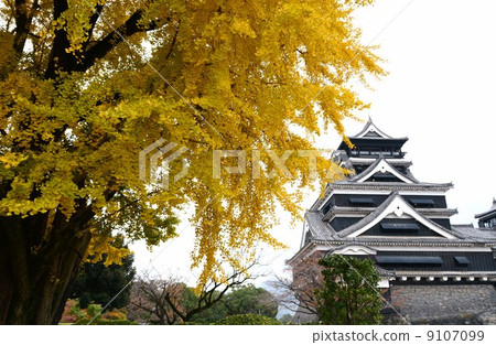Kumamoto castle castle tower after the rain 9107099