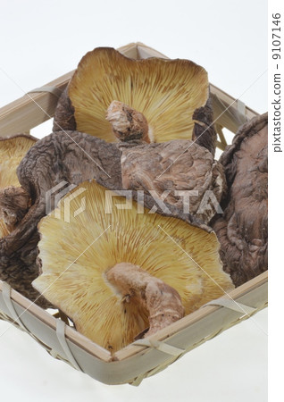 乾香菇 乾香菇 9107146