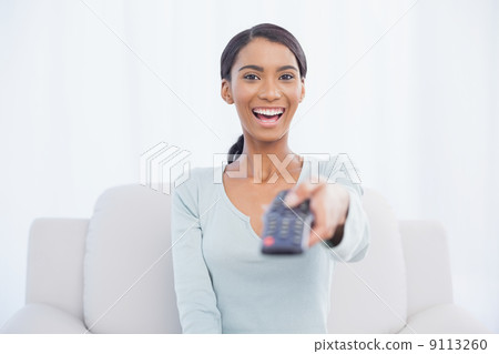 9113260