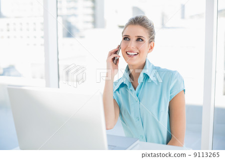 9113265
