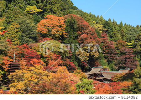 Shizuyama Shrine in the autumn Shizuyama Shrine in the autumn 9114082