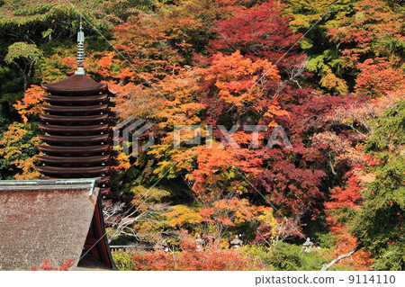 鶴山神社十三層塔和秋葉 9114110