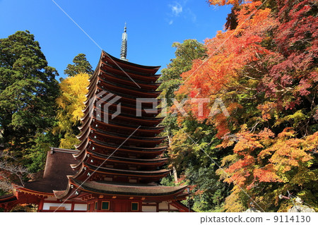 Shogiyama Shrine Ten Three Story Towers in the Autumn 9114130