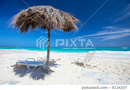 Beautiful Caribbean beach 9114207