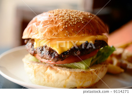 Hamburger Hamburger 9114271