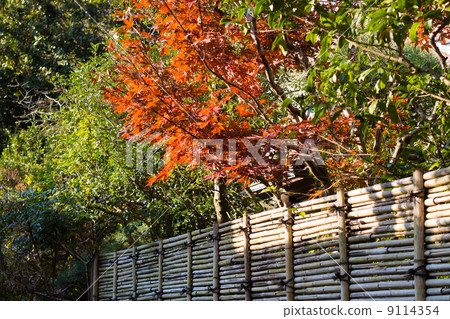 Takegaki和Momiji Takegaki和Momiji 9114354