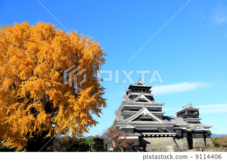 Kumamoto Castle · Ginkgo Castle 9114406